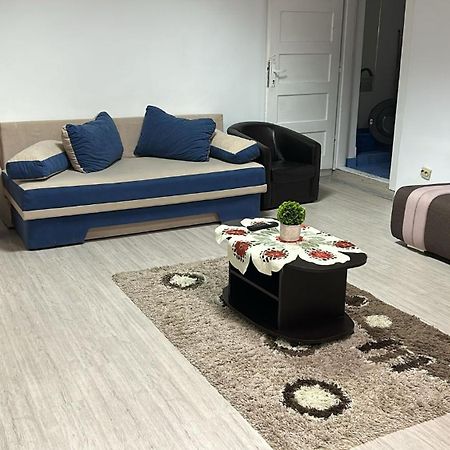 The Historical Family House-Cluj Napoca Center Apartment Bagian luar foto