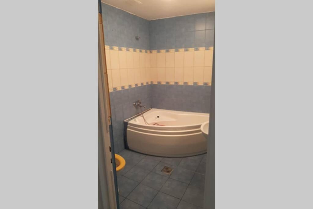 The Historical Family House-Cluj Napoca Center Apartment Bagian luar foto