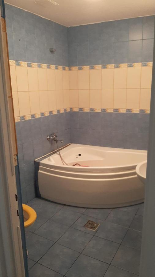 The Historical Family House-Cluj Napoca Center Apartment Bagian luar foto